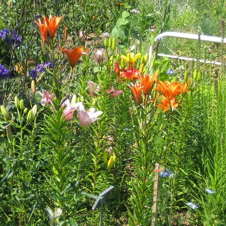 & Familie Trescher Homestay Tuebingen