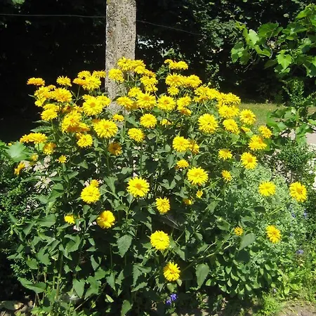 & Familie Trescher * Tuebingen